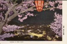 徳島　眉山の夜桜