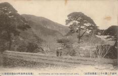 阿波十二景の十二（徳島市眉山）