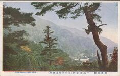 徳島名勝　十二景之内（眉山公園之全景）