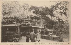 徳島大瀧山公園内（三宜亭前の桜）