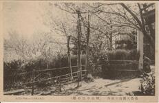 徳島大瀧山公園内（桃山中部の桜）