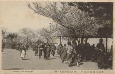 徳島大瀧山公園内（神武天皇銅像前の桜）