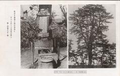 ・・・処刑の松と・・十郎兵衛一族の墓