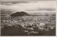 （徳島名勝）市ノ全景