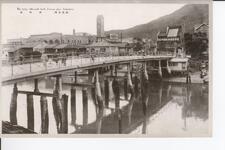 （徳島名勝）新町橋