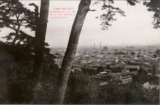 （徳島）徳島市街全景