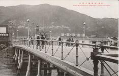 （徳島）新町橋と眉山
