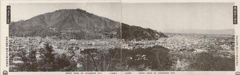 （徳島市の風光）市街の展望（城山より眉山を望む）