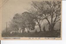 徳島十二景之内（前川の堤）