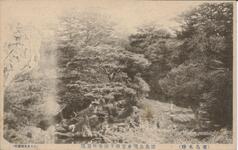 （徳島名勝）徳島公園東宮殿下御座所遊園