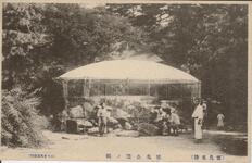 （徳島名勝）徳島公園ノ鶴