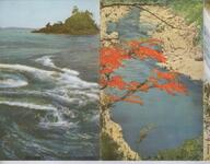 国立公園鳴門　／　大歩危