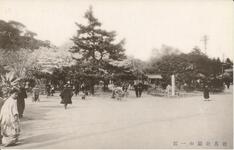 徳島公園の一部