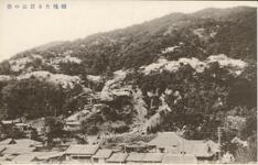 爛漫たる眉山の桜