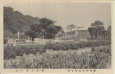 徳島市名所絵葉書　徳島公園の景