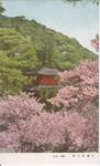 三重塔の桜（徳島・眉山）