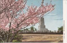 明治天皇頌徳碑付近の桜（徳島・眉山頂上）