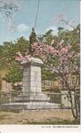 旧藩主蜂須賀正勝公銅像の桜（徳島公園）