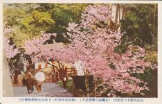 徳島名勝十二景之内（大瀧山三層塔之下）