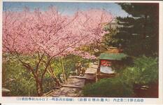 徳島名勝十二景之内（大瀧山朝日館前）