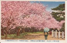 徳島名勝十二景之内（徳島公園内山上之西部）