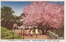 徳島名勝十二景之内（徳島公園内記念標前）