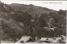 （徳島景観）桜の眉山公園・・・