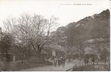 （徳島景観）花に賑ふ徳島公園・・・