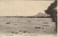 阿波国塩浜の実況