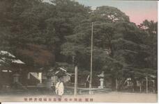 勅題　社頭の松　徳島市国瑞彦神社
