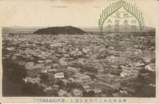 徳島勢見山より市街を望む