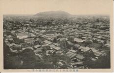 徳島勢見山より城山並市街を望