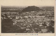 徳島大瀧山より城山並市街を望