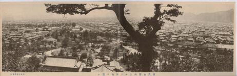 徳島公園山上ヨリ市街ヲ望ム