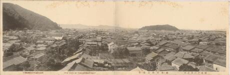 徳島十二景之内徳島市街之全景