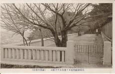 忌部神社荒垣ヨリ徳島市ヲ下瞰ス