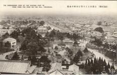 （徳島景観）公園山上より・・市街・・東部