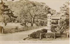 The Natural View of Tokushima Park