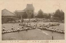 綱引　高女一年