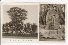 所刑（処刑か？）の松と霞亭歌碑