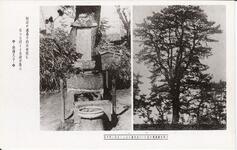 十郎兵衛処刑の松と十郎兵衛・お弓・おつる等一族の墓