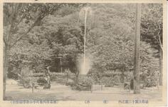 徳島公園十二景之内　（噴水）