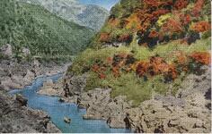 四国歩危の奇勝美　大歩危の景