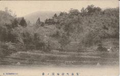 鷲敷町持福院ノ景