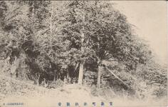 鷲敷町氷柱観音