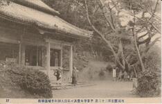 四国霊場第二十二番平等時本堂及び弘法大師御手植蓮華松
