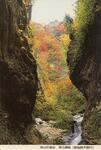 深山の渓谷　高の瀬峡
