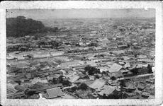 徳島市街　城山