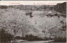 （脇町風景）記念公園の桜
