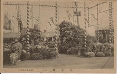 菊花園其一